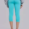 Quinn Studded Jersey Capri in Turquoise